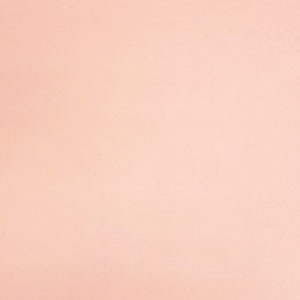 Blush Solid Double Brushed Jersey Spandex Blend Knit Fabric