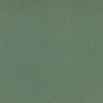 Sage Green Solid Double Brushed Jersey Spandex Blend Knit Fabric