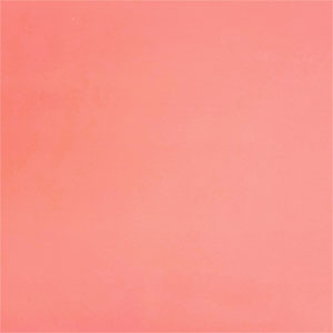 Coral Pink Solid Double Brushed Jersey Spandex Blend Knit Fabric